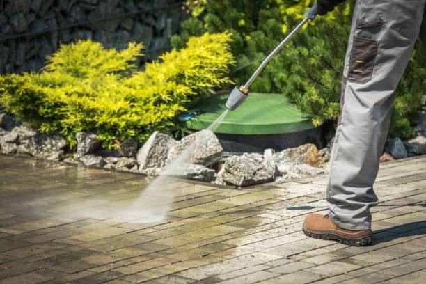 Best Roof Washing  in Hope, IN